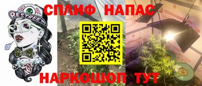 spice Гагарин