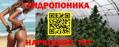 спиды Краснознаменск