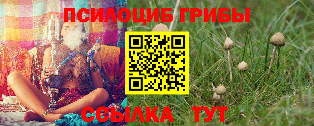 Галлюциногенные грибы Magic Shrooms Чебоксары