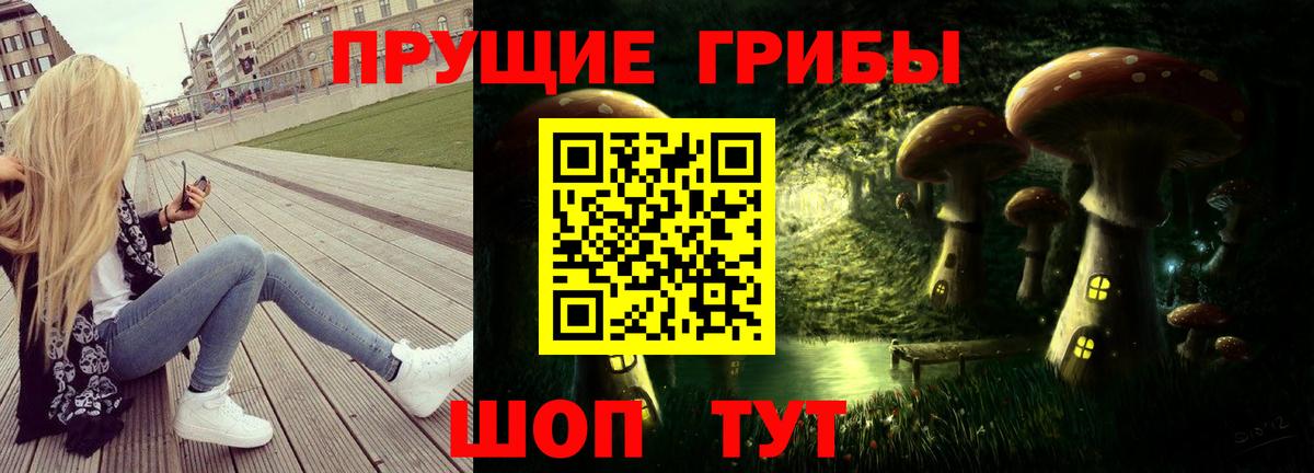 Чебоксары  Псилоцибиновые грибы Cubensis  Вход с VPN 