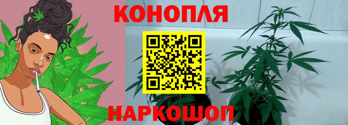 Конопля OG Kush Чебоксары